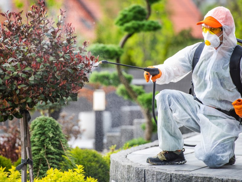 Mevlana Haşere İlaçlama